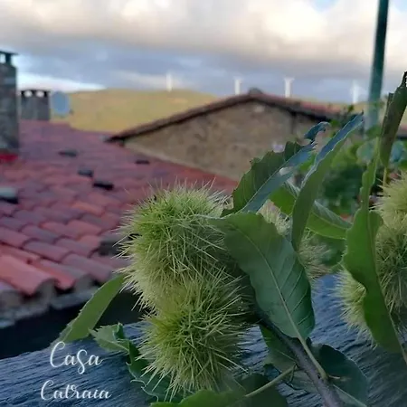 Casa Catraia No Pulmao Da Serra Da Lousa Semesterbostad *