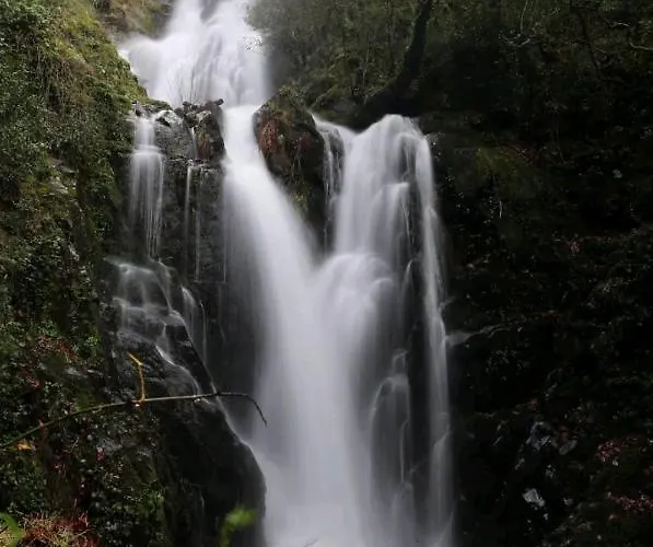 Hébergement de vacances Casa Catraia No Pulmao Da Serra Da Lousa